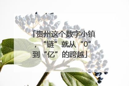 贵州这个数字小镇，“链”就从“0”到“亿”的跨越