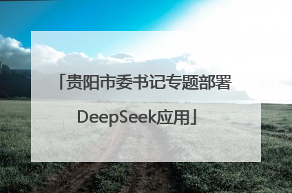 贵阳市委书记专题部署DeepSeek应用