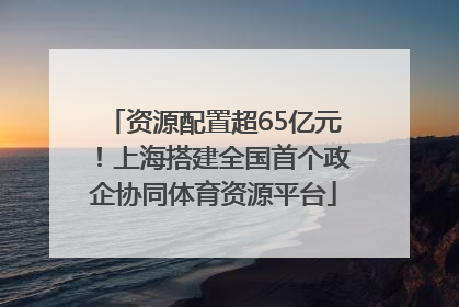 资源配置超65亿元！上海搭建全国首个政企协同体育资源平台