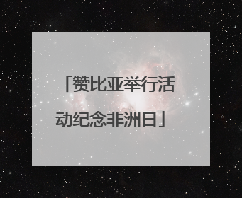 赞比亚举行活动纪念非洲日