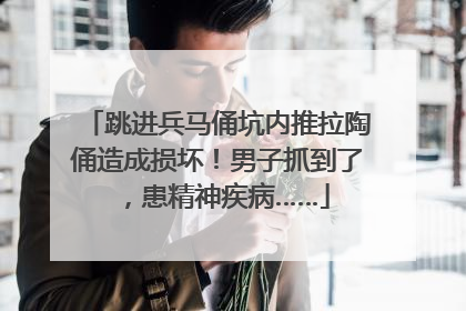 跳进兵马俑坑内推拉陶俑造成损坏！男子抓到了，患精神疾病……