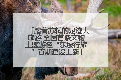 踏着苏轼的足迹去旅游 全国首条文物主题游径“东坡行旅”首期建设上新