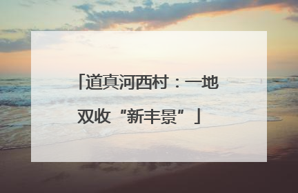 道真河西村：一地双收“新丰景”