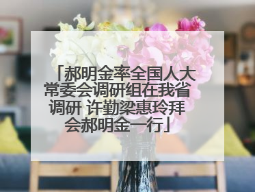 郝明金率全国人大常委会调研组在我省调研 许勤梁惠玲拜会郝明金一行