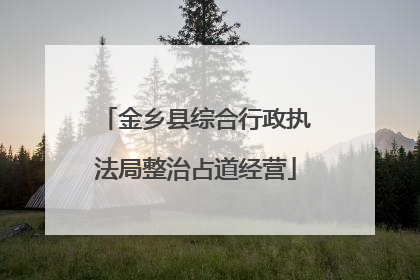 金乡县综合行政执法局整治占道经营
