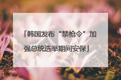 韩国发布“禁枪令”加强总统选举期间安保
