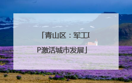 青山区：军工IP激活城市发展