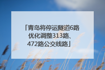 青岛将停运隧道6路 优化调整313路、472路公交线路