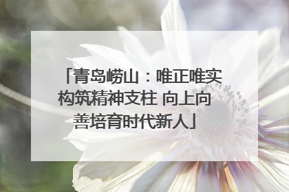 青岛崂山：唯正唯实构筑精神支柱 向上向善培育时代新人