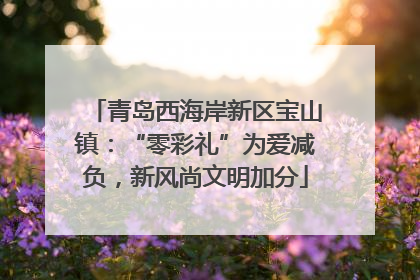 青岛西海岸新区宝山镇：“零彩礼”为爱减负，新风尚文明加分