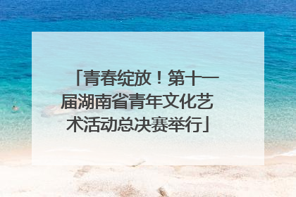 青春绽放！第十一届湖南省青年文化艺术活动总决赛举行