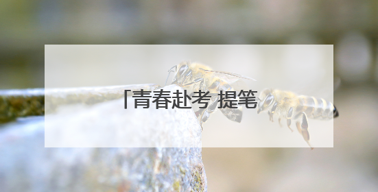 青春赴考 提笔逐梦——2025年高考首日见闻