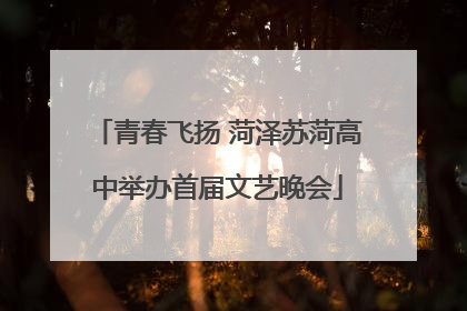 青春飞扬 菏泽苏菏高中举办首届文艺晚会