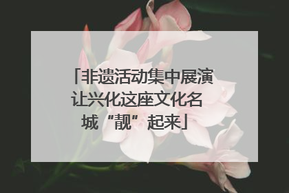 非遗活动集中展演 让兴化这座文化名城“靓”起来
