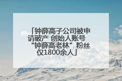 钟薛高子公司被申请破产 创始人账号“钟薛高老林”粉丝仅1800余人