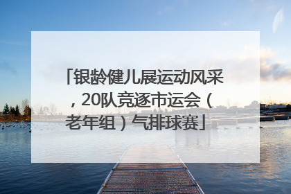 银龄健儿展运动风采，20队竞逐市运会（老年组）气排球赛