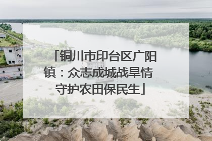 铜川市印台区广阳镇：众志成城战旱情 守护农田保民生