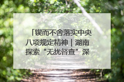 锲而不舍落实中央八项规定精神｜湖南探索“无扰督查”深化基层减负