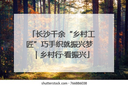 长沙千余“乡村工匠”巧手织就振兴梦｜乡村行·看振兴