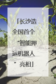 长沙造全国首个“智能押运机器人”亮相