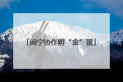 闽宁协作孵“金”蛋