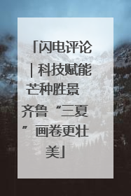 闪电评论｜科技赋能芒种胜景 齐鲁“三夏”画卷更壮美