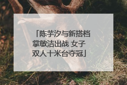 陈芋汐与新搭档掌敏洁出战 女子双人十米台夺冠