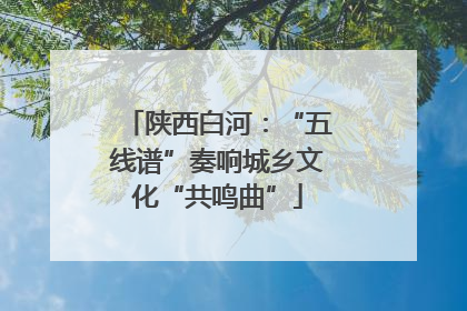 陕西白河：“五线谱”奏响城乡文化“共鸣曲”