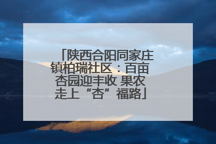 陕西合阳同家庄镇柏瑞社区：百亩杏园迎丰收 果农走上“杏”福路
