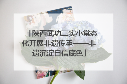 陕西武功二实小常态化开展非遗传承——非遗沉淀自信底色