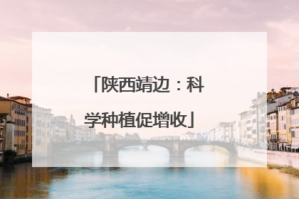 陕西靖边：科学种植促增收