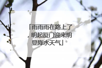 雨雨雨在路上了，明起厦门迎来明显降水天气