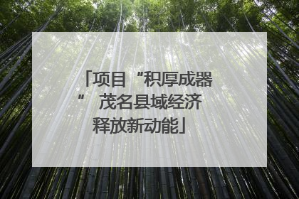 项目“积厚成器” 茂名县域经济释放新动能