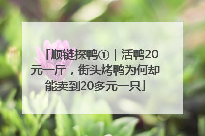 顺链探鸭①｜活鸭20元一斤，街头烤鸭为何却能卖到20多元一只