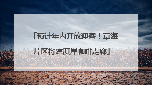 预计年内开放迎客！草海片区将建滇岸咖啡走廊
