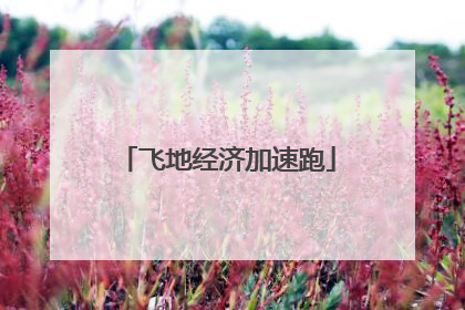 飞地经济加速跑