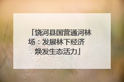 饶河县国营通河林场：发展林下经济 焕发生态活力