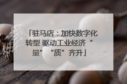 驻马店：加快数字化转型 驱动工业经济“量”“质”齐升