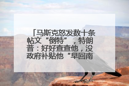 马斯克怒发数十条帖文“倒特”，特朗普：好好查查他，没政府补贴他“早回南非老家”了