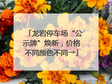 龙岩停车场“公示牌”焕新，价格不同颜色不同→