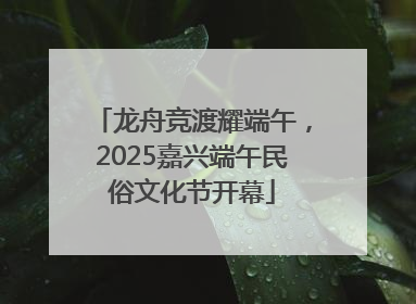 龙舟竞渡耀端午，2025嘉兴端午民俗文化节开幕