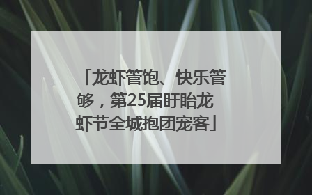 龙虾管饱、快乐管够，第25届盱眙龙虾节全城抱团宠客