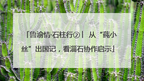 鲁渝情·石柱行② ︳从“莼小丝”出国记，看淄石协作启示
