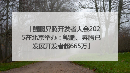 鲲鹏昇腾开发者大会2025在北京举办：鲲鹏、昇腾已发展开发者超665万