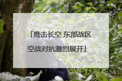 鹰击长空 东部战区空战对抗激烈展开
