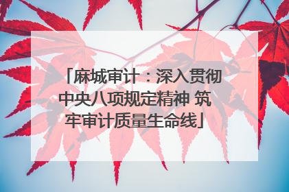 麻城审计：深入贯彻中央八项规定精神 筑牢审计质量生命线