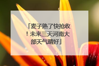 麦子熟了快抢收！未来三天河南大部天气晴好
