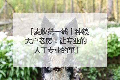 麦收第一线丨种粮大户老房：让专业的人干专业的事
