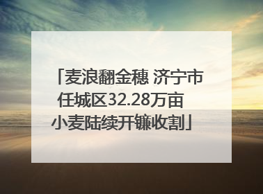 麦浪翻金穗 济宁市任城区32.28万亩小麦陆续开镰收割