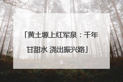 黄土塬上红军泉：千年甘甜水 浇出振兴路